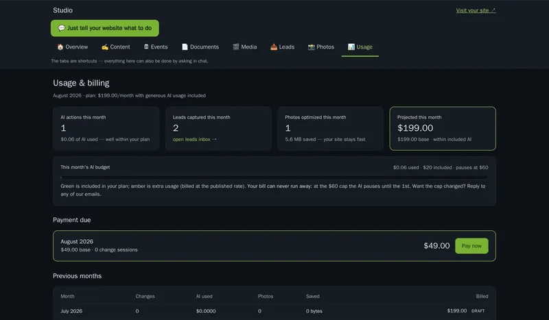 Usage and billing page with an AI budget bar showing usage well within the included amount and the note: your bill can never run away